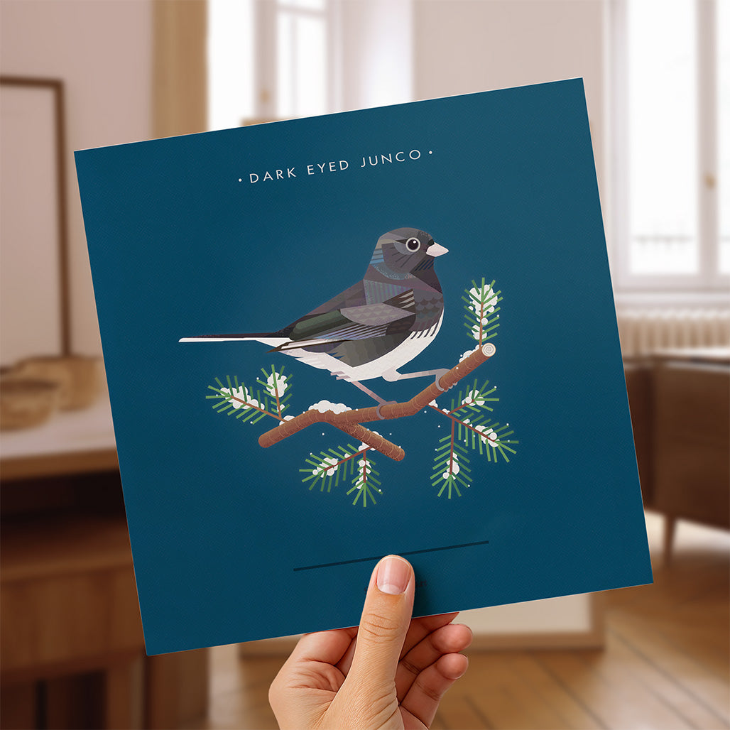 Dark Eyed Junco