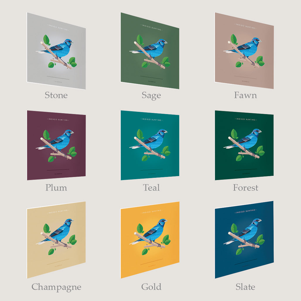 Indigo Bunting