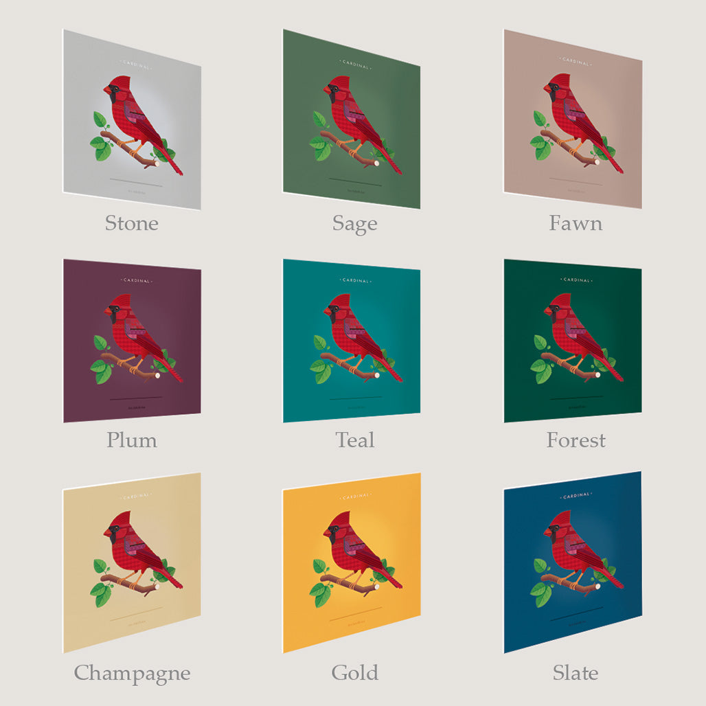 Cardinal - Male