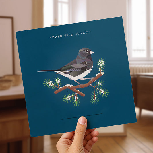 Dark Eyed Junco