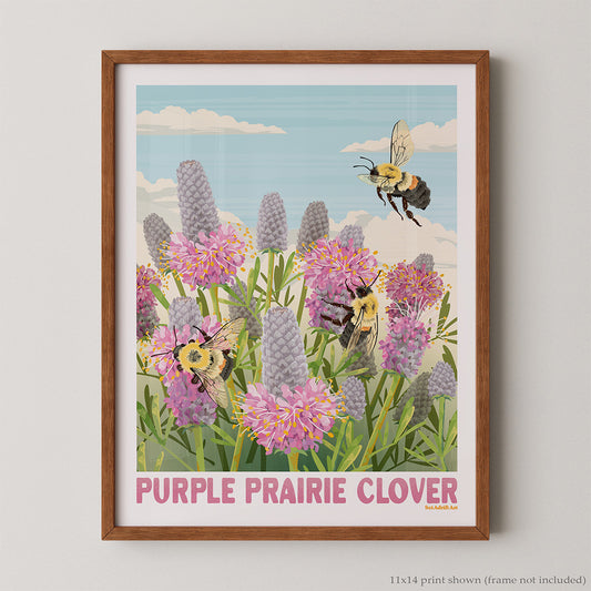 Purple Prairie Clover